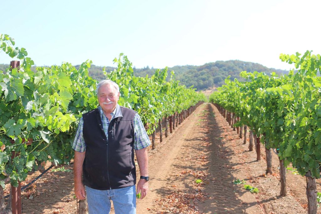 Ray Teldeschi standing in front of a row of vines at Teldeschi Vineyards, the row of vines extending from the foreground to the background, meeting a cluster of trees under a light blue sky. 