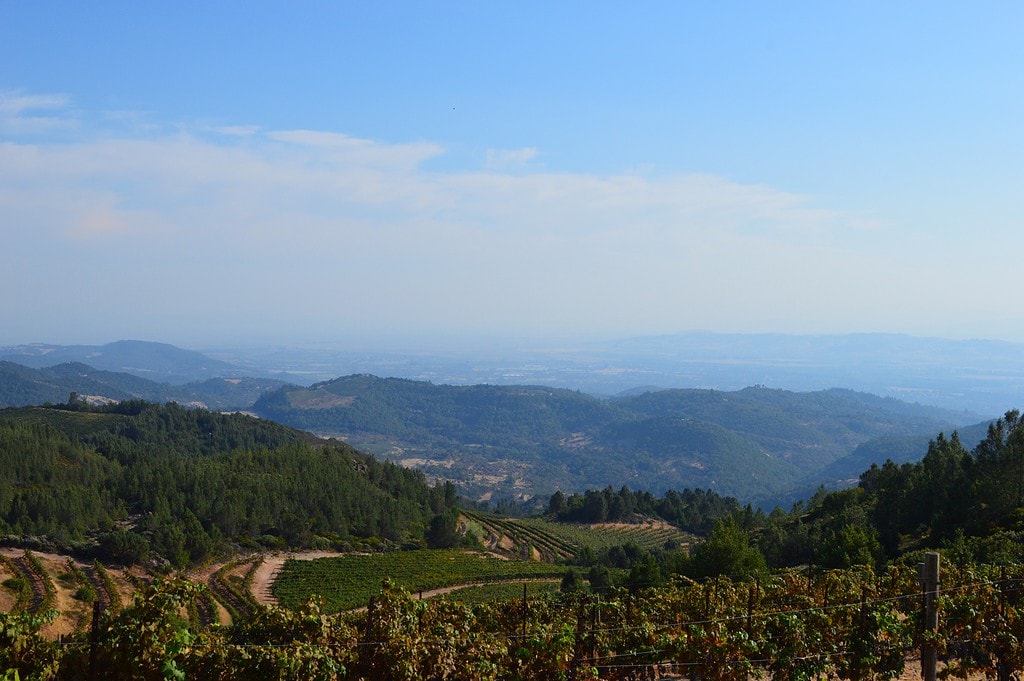 A view of Bismark vineyard overlooking the valley below.