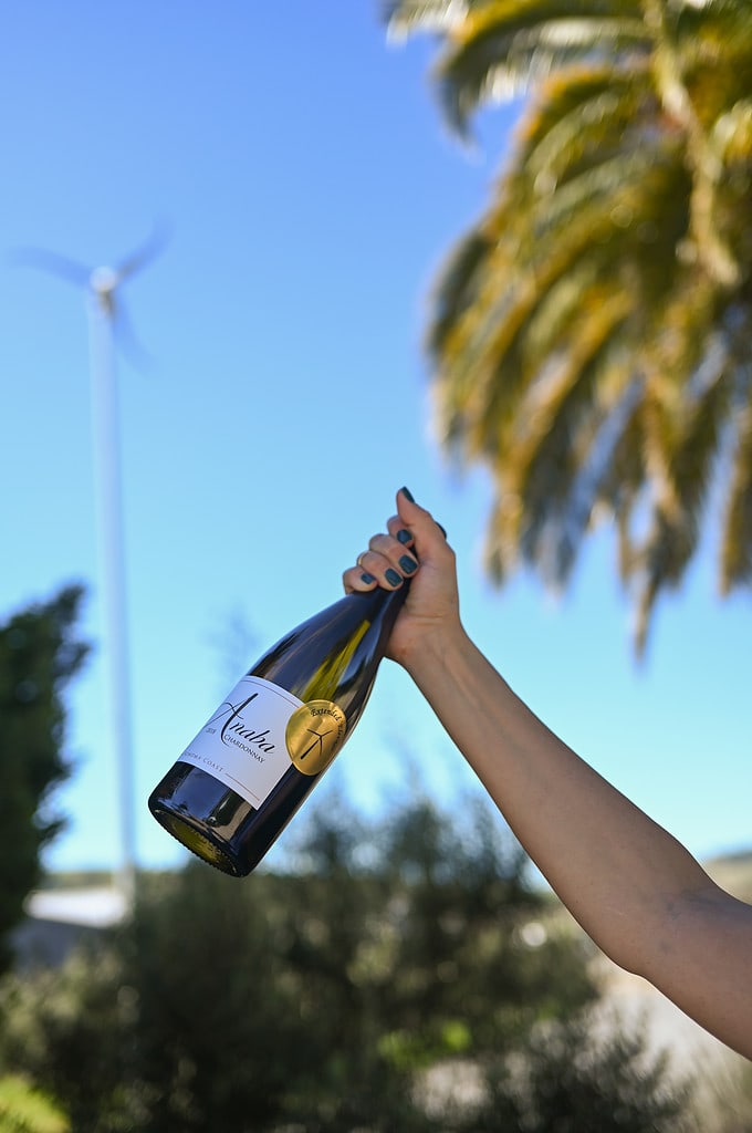 Extended Elevage bottle in hand in front of Anaba's Turbine