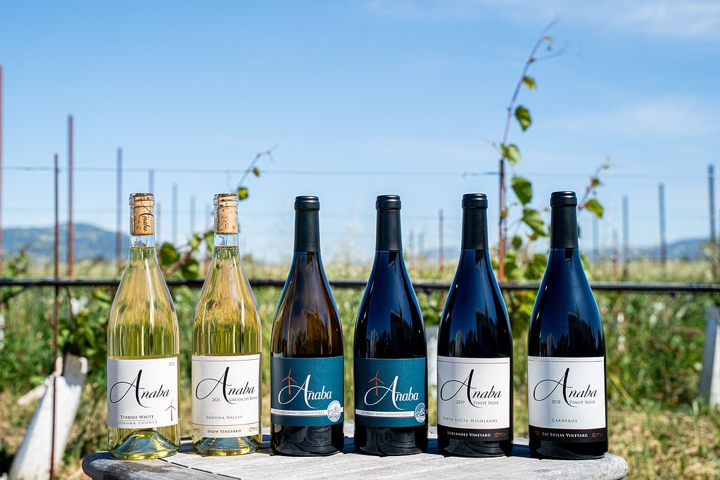 Six bottles of Anaba wine lined up on a table, outside, with a view of the blooming rows of vines blurred in the background. 