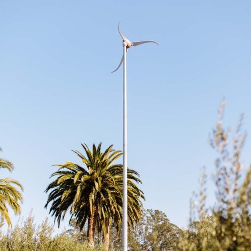 A wind turbine centred in the foreground, with palm trees in the background, under a light blue sky. 