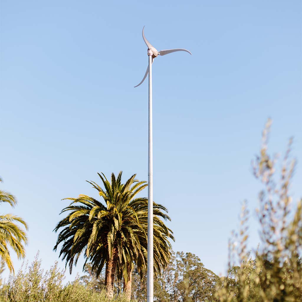 A wind turbine centred in the foreground, with palm trees in the background, under a light blue sky. 