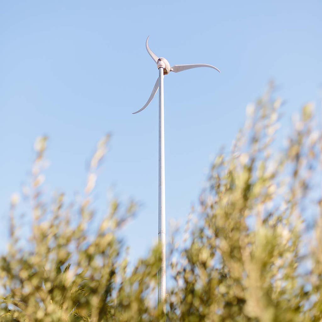 Blurred leaves in the foreground, a wind turbine centred in the background, in the middle of a clear blue sky. 